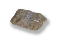 M 05715
<br/>
bloemige Erythrien op cobaltrijke zone in pegmatiet
<br/>
<em></em>